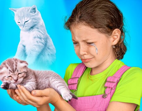 Я спасла бездомного котенка! Как стать Сейлор Мун!