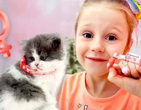Приключения Насти, Папы и их друзей. Сборник видео для детей