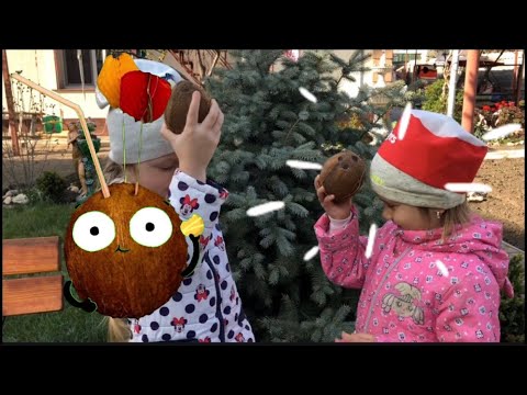 HOW TO SMASH A COCONUT? Как разбить кокос ? Fany vidoe for kids