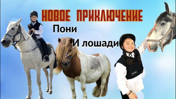 ❤️Аминка и лошади ❤️ Какие бывают лошади ❤️