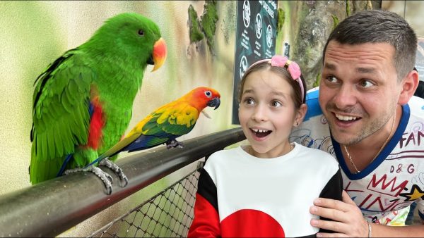 София в контактном зоопарке в Дубае! Sofia feeds animals at the Zoo