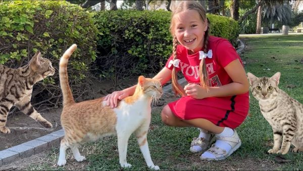 The cats are lost!  Sofia is looking for cats and kittens in a magical city park