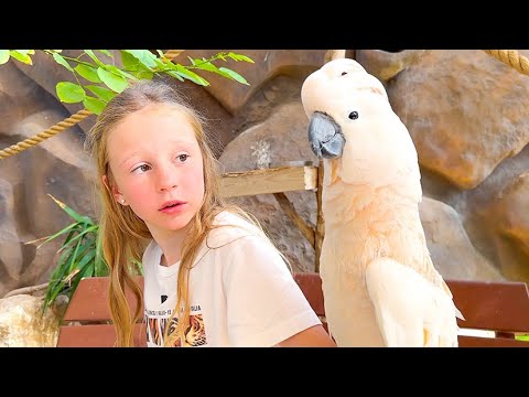 Nastya meets various animals at the zoo