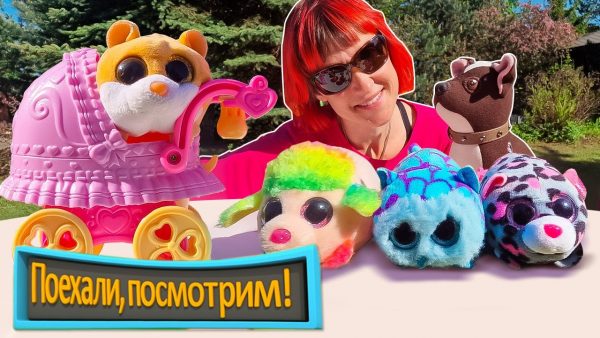 Поехали, посмотрим! Морские свинки — игрушки и настоящие! Развивающее видео для детей с Машей Капуки