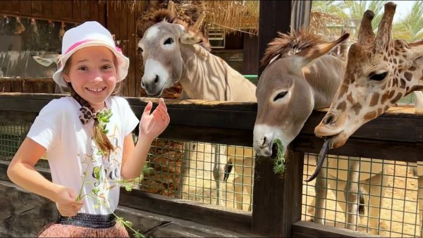 Веселое приключение Софии и папы в зоопарке с животными