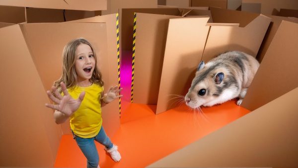 Nastya and the hamster’s escape from the cardboard maze.